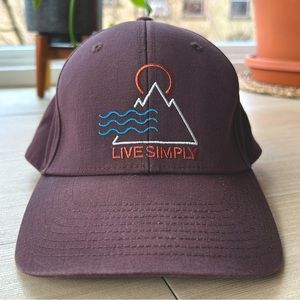 Patagonia Baseball Hat